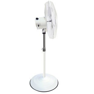 金羚风扇落地扇大功率20寸工业风扇除甲醛铝叶强力商用电扇电风扇