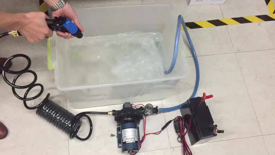 Singflo 12vdc Rv Water Pump With 5.5 Gallons Per Minute 12v Water Pump