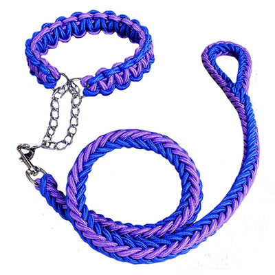 脖圈金毛P链宠物中型犬遛狗