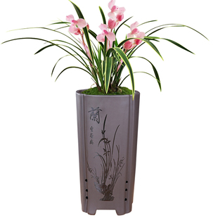 紫砂兰花专用花盆高款个性创意透气室内桌面君子兰文竹古典盆特价