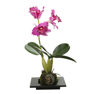 晶华造花简约蝴蝶兰花艺套装客厅桌面软装摆件假花仿真花装饰
