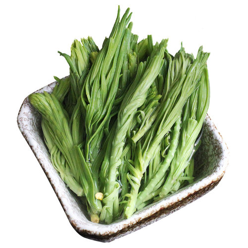 云南特色食材酒店半成品保鲜蔬菜新鲜沙松尖野菜食用凤尾花私房菜