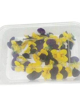 新鲜三色堇三色花摆盘装饰