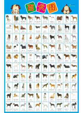 百犬图海报宠物店装饰贴宠物狗世界名犬狗狗大全各种犬类狗名犬名