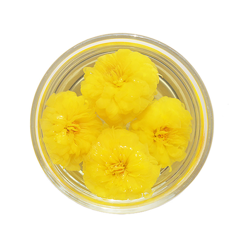 正宗焦作温县特产雁门山怀菊花