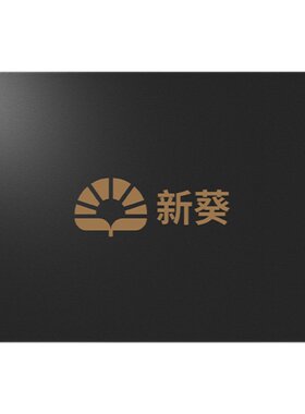 90G180G256G512G固态硬盘ssd