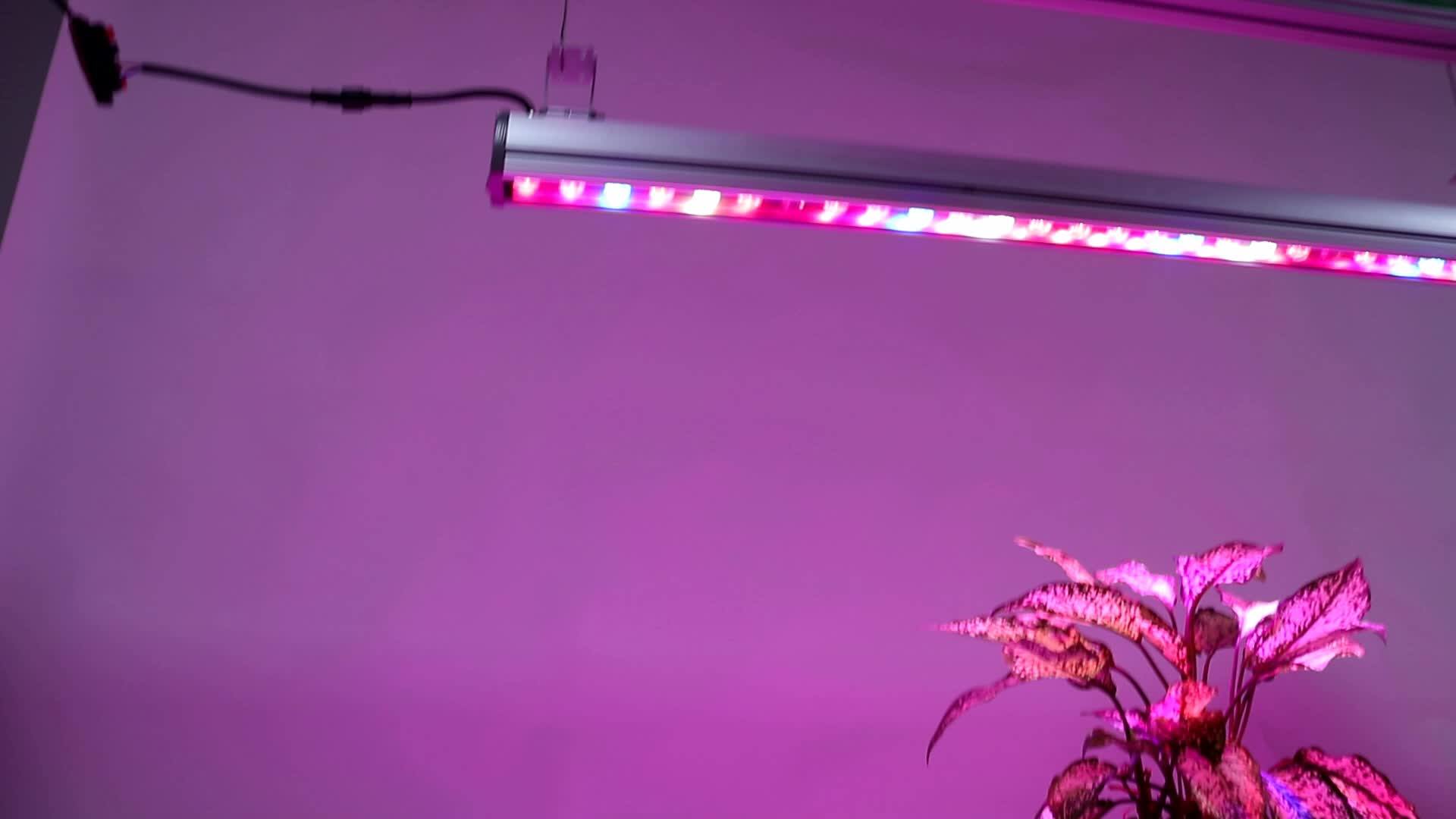 Custom Greenhouse Flat Wholesale Flower Hydroponic Lamp 3 Watt Led Grow