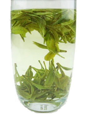 新茶绿茶龙井茶浓香型耐泡豆香味