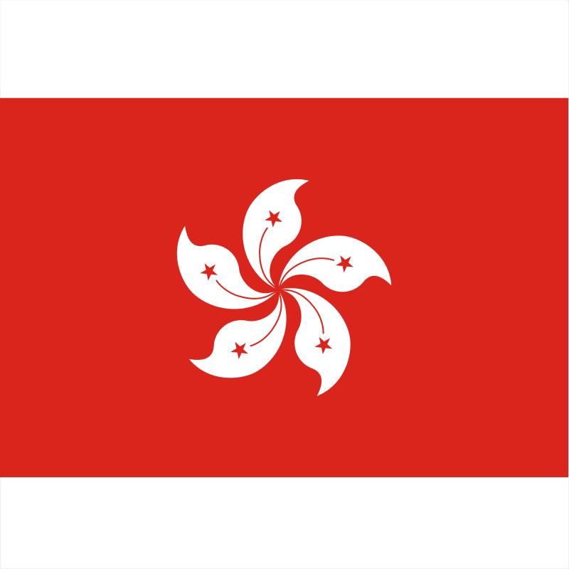 3号宽128长192cm中国香港区旗紫荆花旗 国旗党旗团旗旗子定制定做