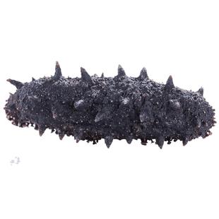 三山岛淡干海参辽刺参顺丰包邮底播干货大连长海县海鲜6头50g