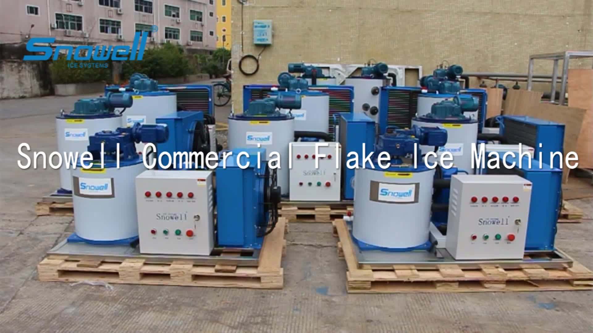 Snowell Mini Flake Ice Plant Air Cooled 2 Ton Ice Machine For Fish/meat