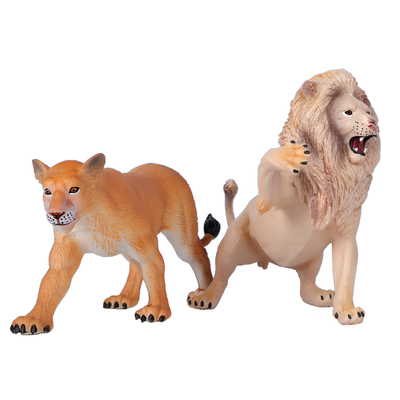 非洲狮子实心儿童认知野生动物