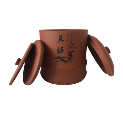 【甜脆好芽】真好芽发豆芽罐