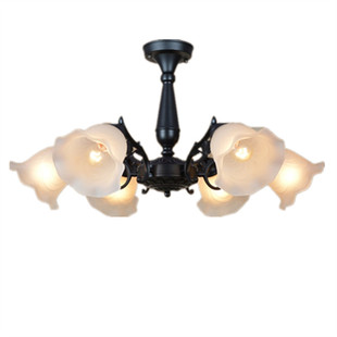 欧式铁艺简约美式黑色客厅餐厅卧室三头五头六头八头吸吊灯 新款