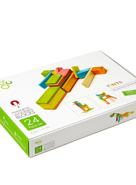 特固益智美国进口正品包邮积木