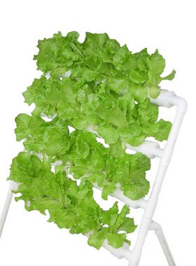 单面梯式设备水耕自动浇灌种菜