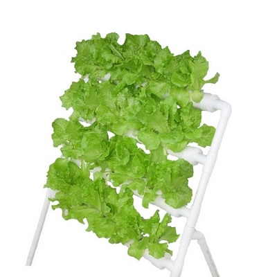 单面梯式设备水耕自动浇灌种菜