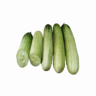 白绿黄瓜种子水果黄瓜种子好易播