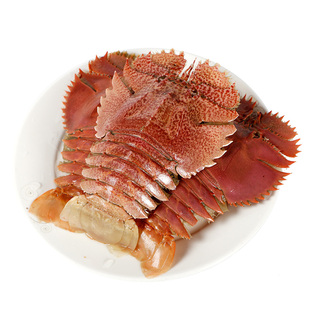 东山岛琵琶虾虾姑排九齿扇虾新鲜活冻大皮皮虾大虾姑富贵虾红壳虾