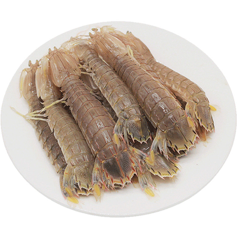 鲜活虾爬子本地渤海湾大号保肥
