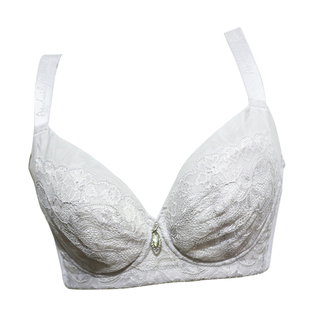 黛丽世家文胸专柜正品聚拢薄款软钢圈全杯大胸调整型文胸D6045