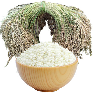 贵州2025新糯米黔东南侗寨自产不抛光加榜梯田从江香禾糯2斤包邮