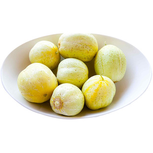 水晶柠檬黄瓜种子传家宝高产甜脆多汁迷你紧凑室内阳台春秋盆栽