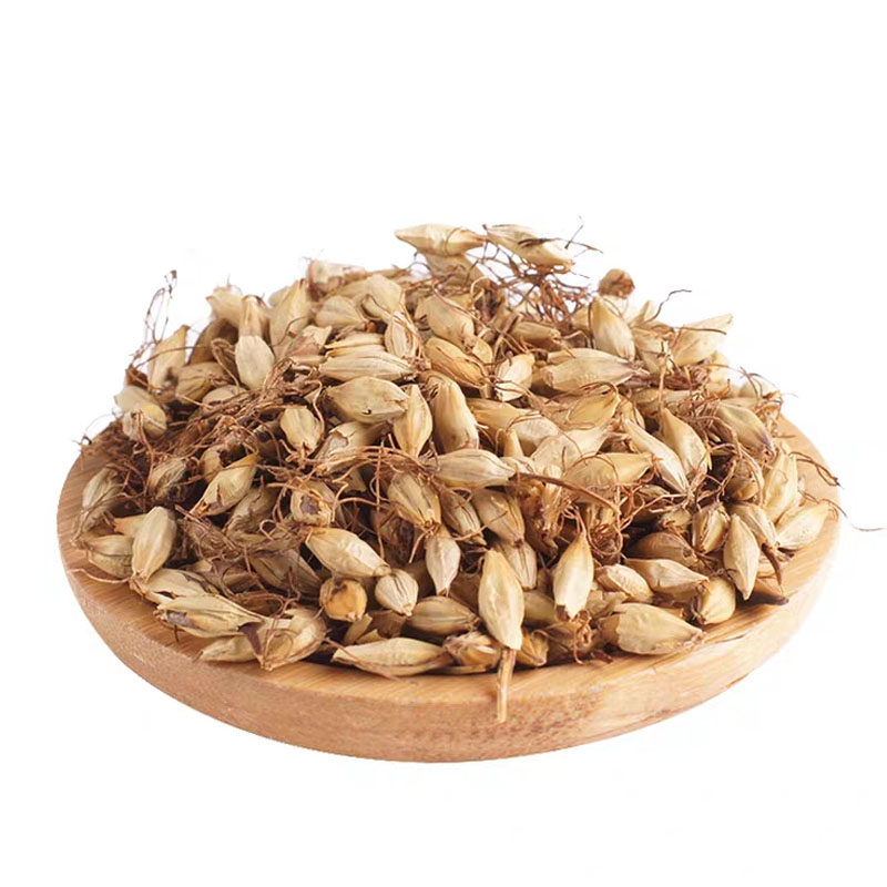 新货特级炒麦芽回奶茶500g