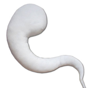 【古德沃夫】东方PROJECT COS道具 魂魄妖梦半灵抱枕 现货包邮