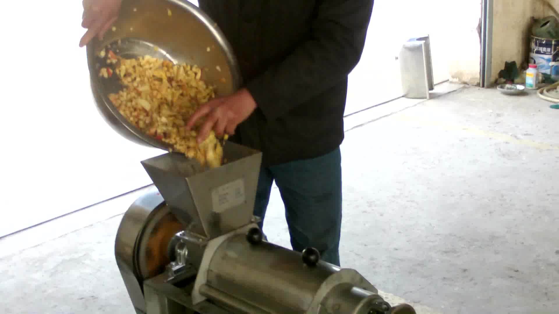 Commercial Cold Screw Press Juicer Apples Fruit Juice Extractor Machine