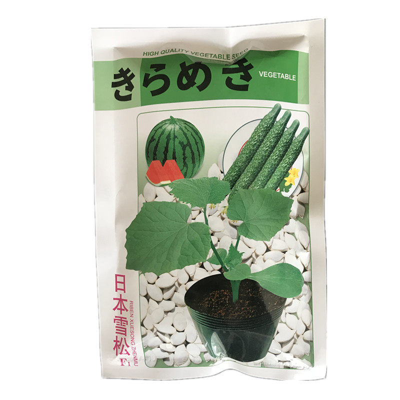 嫁接砧木种子 西瓜甜瓜专用白籽南瓜日本雪松耐热耐寒抗病提高产
