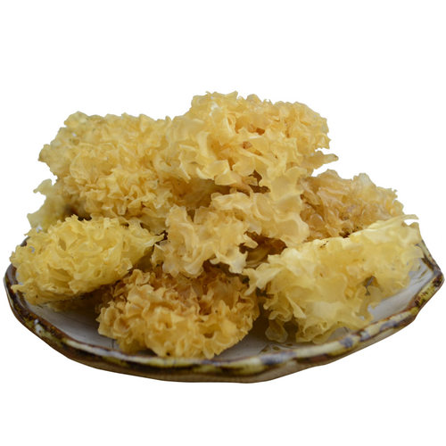 庆元山珍土特产农家椴木银耳干货小朵雪耳长在木头上白木耳食用菌