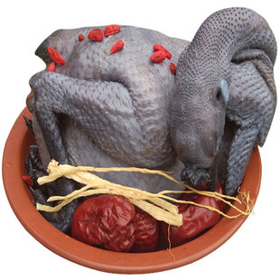 泰和乌鸡乌骨鸡现杀整只生鲜鸡肉阉鸡老鸡太监鸡农家散养活体鸡