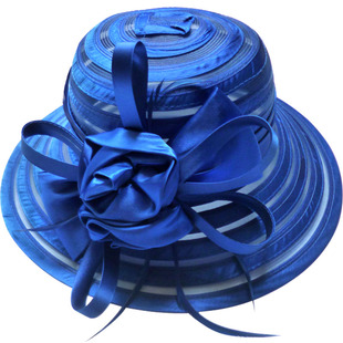 欧根纱太阳帽女款夏季2025新款高端遮阳帽子洋气时髦防晒时尚礼帽