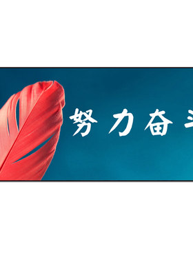 办公励志超大号鼠标垫可爱创意