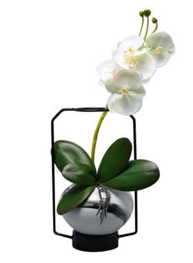 现代新中式客厅电视柜陶瓷罐玄关