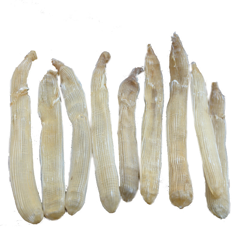 北海特产天然大号已去100g沙虫干