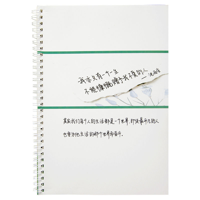 手写英语字帖衡水体中学生考研
