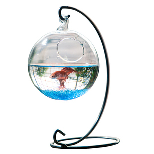 创意悬挂透明玻璃花瓶摆件水培植物绿萝吊瓶客厅微景观铁架花瓶