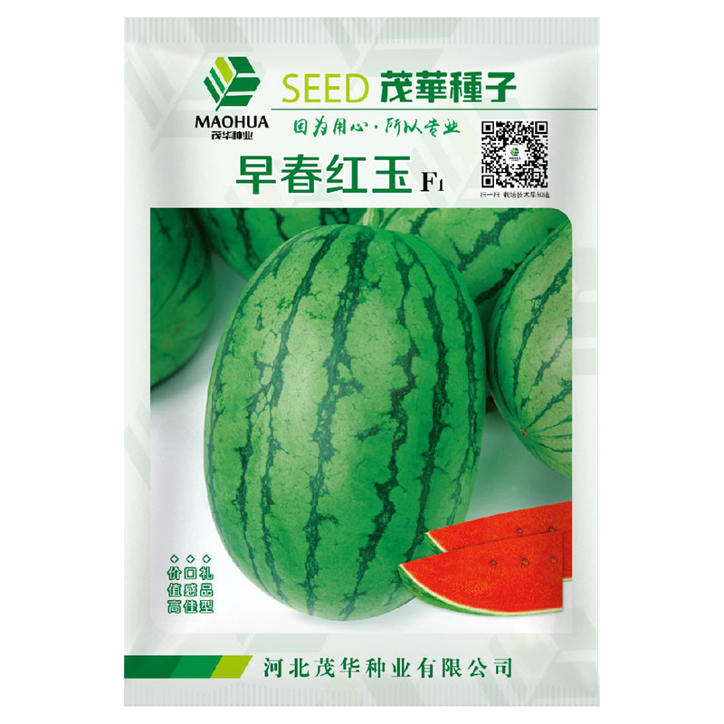 中科茂华早春红玉茂华小红玉中科金品红玉礼品西瓜种子红肉甜脆