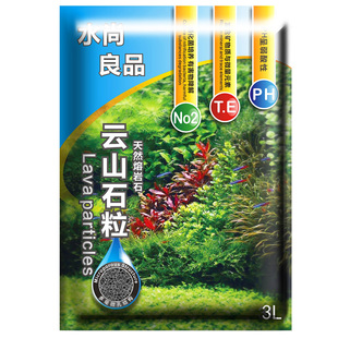 水草种子鱼缸造景种籽水下海草趴爬地矮珍珠懒人水草籽植物种孑真