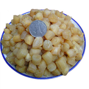 淡干大号干贝(500克) 江瑶柱 干贝丁 扇贝柱