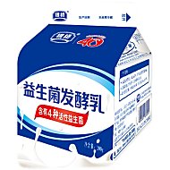 【银桥】酸奶整箱鲜活牛乳发酵乳12盒