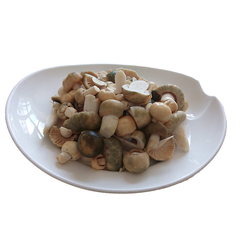 云南野生菌新鲜青头菌2026新鲜上市特级骨朵500克份包邮尝鲜价