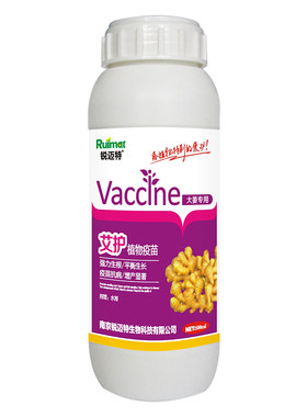 大姜生姜洋葱大蒜专用肥生根壮苗膨大素剂氨基酸肥料膨大剂叶面肥