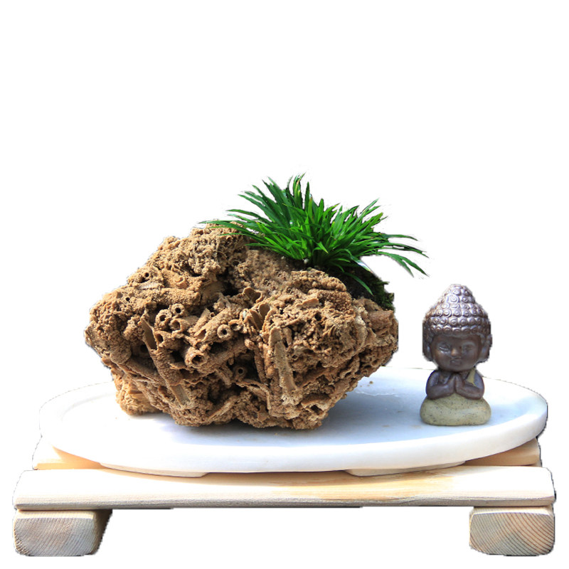 吸水石假山盆景芦管天然观赏