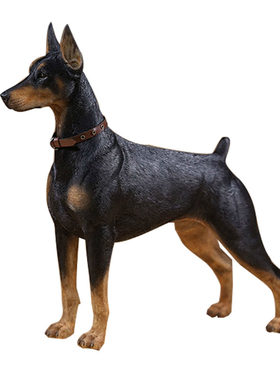 mrz直销杜宾犬仿真1/6动物模型