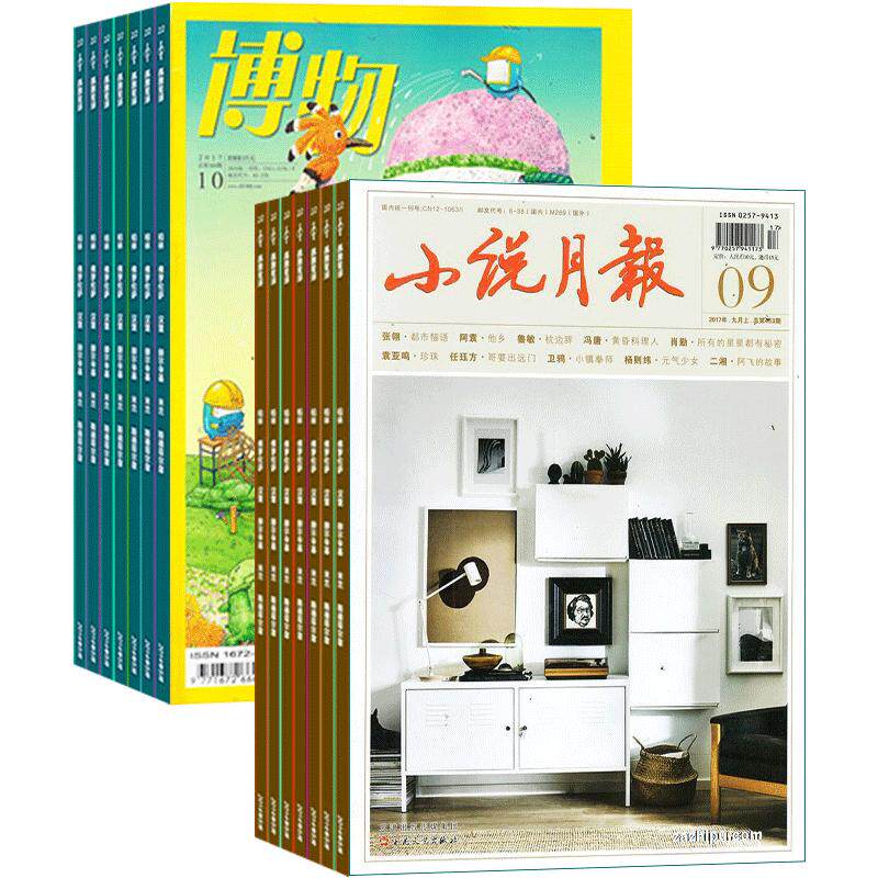 小说月报博物杂志组合订阅