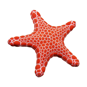 珠链海星澳洲饼干羽毛海星