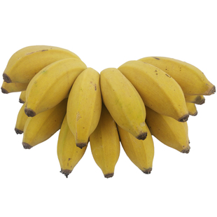 【特价】广西农家无公害水果香蕉 新鲜西贡蕉粉蕉非小米蕉9斤包邮